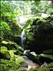 Waterfall in Ivindo National Park, Gabon
